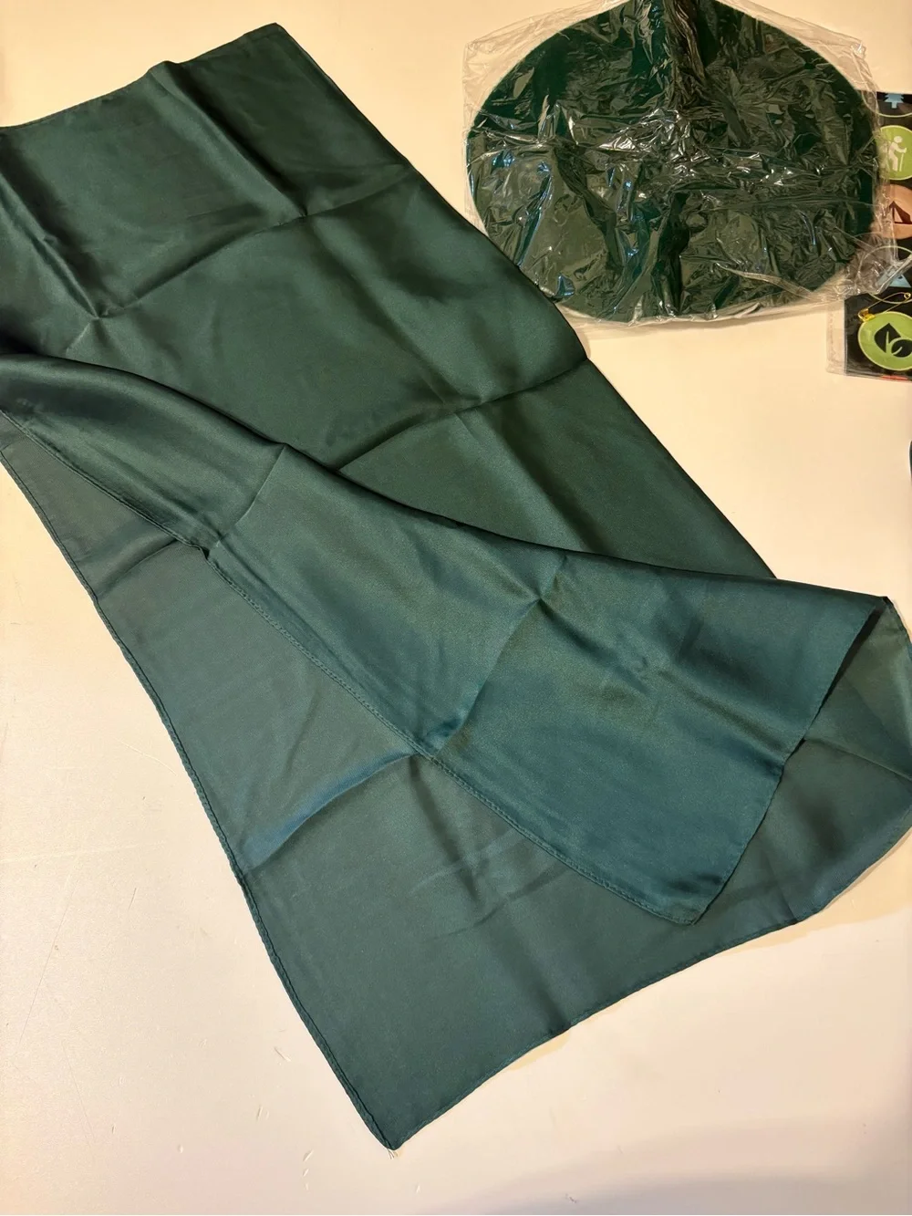 Halloween scout costume